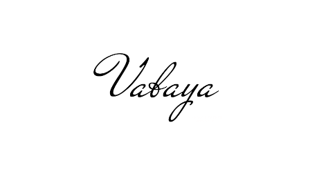 Vabaya Handmade Leather - leather Suppliers in Vietnam